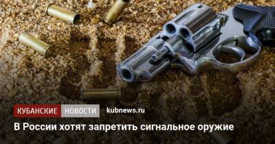 В России хотят запретить сигнальное оружие