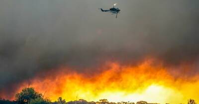 В Австралии снова начались масштабные лесные пожары