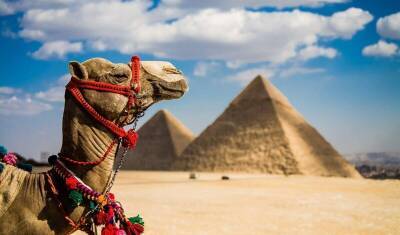 Туры в Египет рекордно подешевели