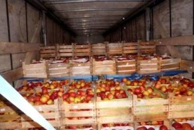 В Краснинском районе уничтожили 18 тонн санкционных яблок