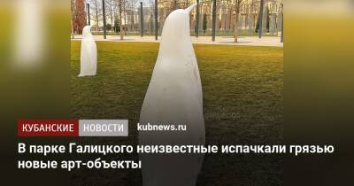 В парке Галицкого неизвестные испачкали грязью новые арт-объекты