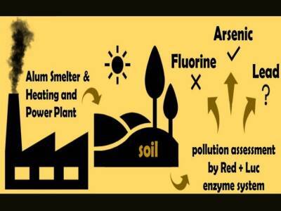 Определить уровень загрязненности почвы можно с помощью ферментов светящихся бактерий