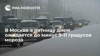 Специалист "Фобоса" Синенков: в Москве в пятницу днем ожидается до минус 9-11 мороза