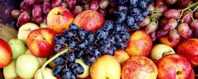 В России собрали рекордный урожай плодов и ягод