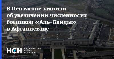 В Пентагоне заявили об увеличении численности боевиков «Аль-Каиды» в Афганистане