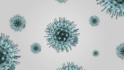 Вирусолог из Центра Гамалеи согласился с прогнозом Билла Гейста о пандемии COVID-19