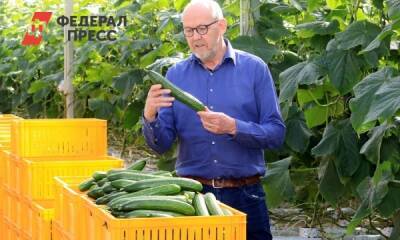 Лидер нижегородских коммунистов попросил проверить светящиеся теплицы на Бору