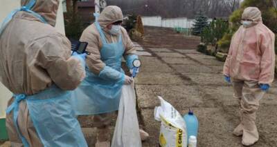 Вспышка птичьего гриппа зафиксирована в Луганской области