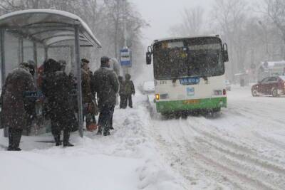 Мокрый снег ожидается в Псковской области 11 декабря
