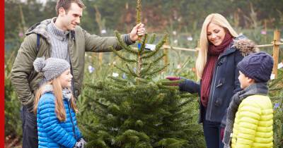 Типичные ошибки при выборе новогодней елки и правила обращения с ней: 6 простых советов