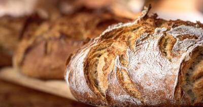 Чтобы печь хлеб как профессионал, нужна кухонная плита Gorenje