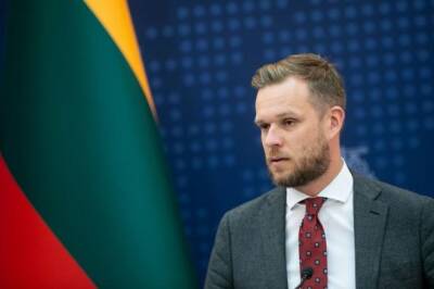 Глава МИД Литвы подал премьеру заявление об отставке