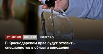 В Краснодарском крае будут готовить специалистов в области виноделия