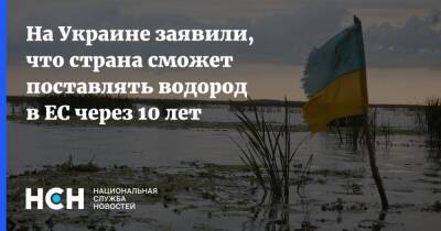 На Украине заявили, что страна сможет поставлять водород в ЕС через 10 лет