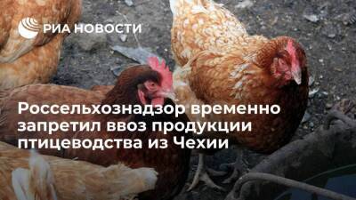 Россельхознадзор временно запретил поставки продукции птицеводства из двух регионов Чехии