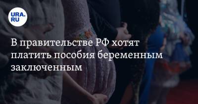 В правительстве РФ хотят платить пособия беременным заключенным