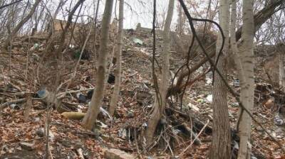 Склон у Солдатского озера завалили мусором - penzainform.ru