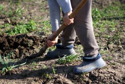 Жительница Енакиево пыталась закопать труп на огороде