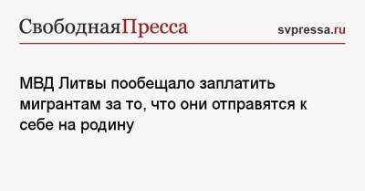 МВД Литвы пообещало заплатить мигрантам за то, что они отправятся к себе на родину