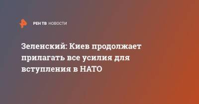 Зеленский: Киев продолжает прилагать все усилия для вступления в НАТО