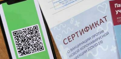 Сотни предпринимателей Владимирской области подписали петицию против QR-кодов