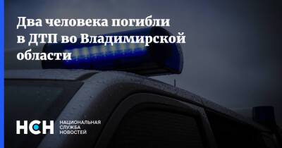 Два человека погибли в ДТП во Владимирской области