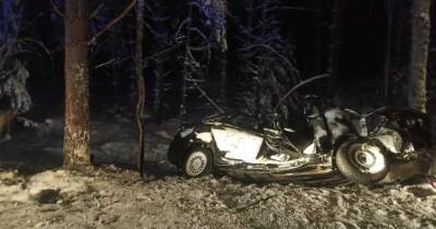Авто влетело в дерево под Гусь-Хрустальным, погибли два человека