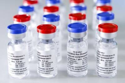 Гинцбург: нет оснований менять вакцину «Спутник V» под штамм «омикрон»