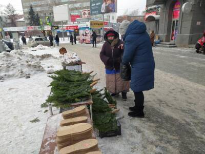 Морозы до -25 со снегопадами вернутся в Новосибирск на следующей неделе