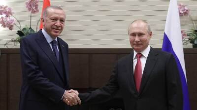 СМИ: Турция не станет воевать с Россией из-за Украины