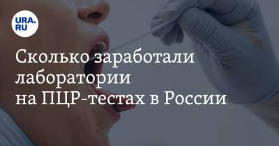 Сколько заработали лаборатории на ПЦР-тестах в России