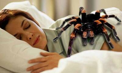 Ужасные пауки: ученые объяснили, почему мы так боимся этих существ