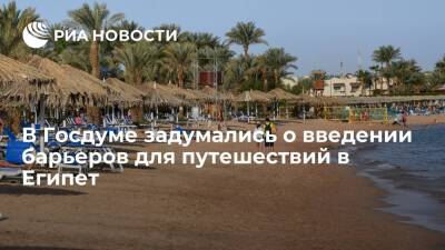 Депутат Госдумы Кривоносов: из-за угрозы COVID-19 потребуются барьеры для поездок в Египет