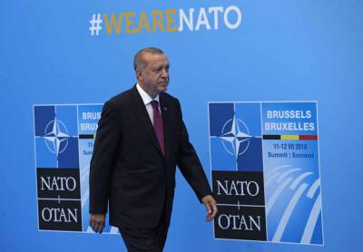 Турция не будет воевать с Россией ради Украины – СМИ