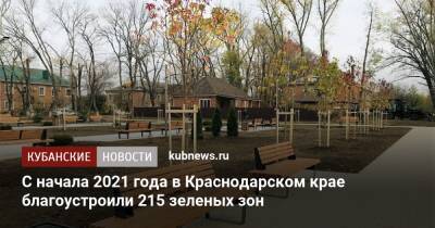 С начала 2021 года в Краснодарском крае благоустроили 215 зеленых зон