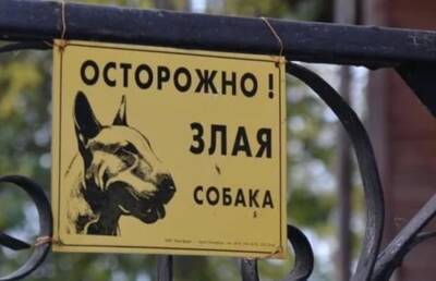 Для почтальонов в Тверской области закупают отпугиватели собак