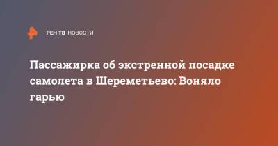 Пассажирка об экстренной посадке самолета в Шереметьево: Воняло гарью - ren.tv - Москва - Краснодар