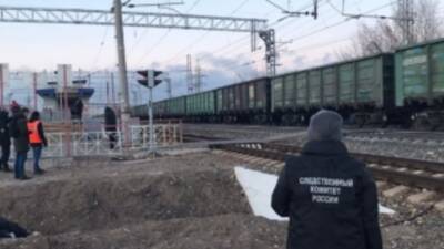 Поезд насмерть сбил двух пенсионеров в Самаре