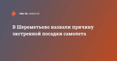 В Шереметьево назвали причину экстренной посадки самолета - ren.tv - Москва - Краснодар