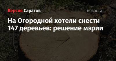 На Огородной хотели снести 147 деревьев: решение мэрии - nversia.ru - Саратов - район Заводский