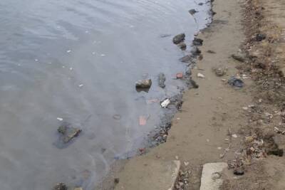 На реке Прямая Болда в Астрахани обнаружили маслянистую пленку