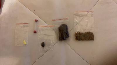 Полиция поймала рязанку с тремя видами синтетических наркотиков
