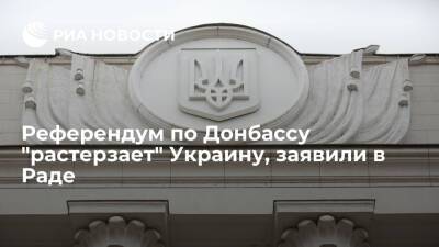 Депутат Рады Геращенко: референдум по Донбассу "растерзает" Украину