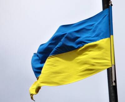 Депутат Рады Геращенко об идее Зеленского провести референдум по Донбассу: «Растерзает Украину»