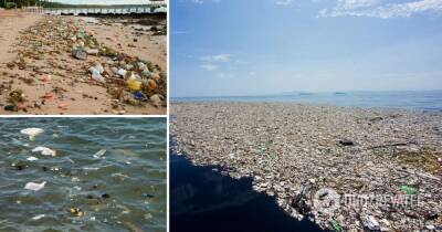 Загрязнение мирового океана - в NASA показали как пластик движется по океанам