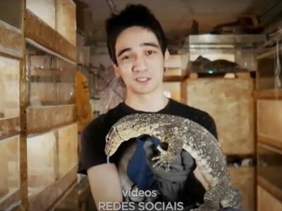 Россиянин получил в Бразилии 11 лет тюрьмы за торговлю пауками и змеями