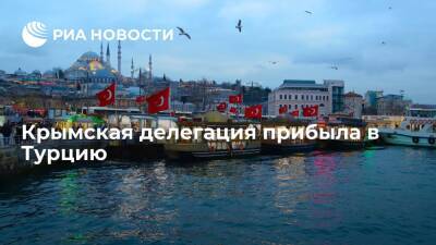 Крымская делегация прибыла в Турцию, чтобы рассказать о положении крымских татар - ria.ru - Россия - Крым - Турция - Севастополь - Анкара