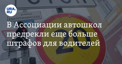 Елена Зайцева - В Ассоциации автошкол предрекли еще больше штрафов для водителей - ura.news