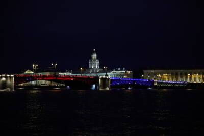 Дворцовый мост подсветят триколором в честь Дня Конституции