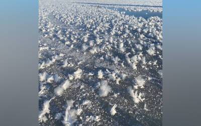 На Ласковском озере под Рязанью появились ледяные «цветы»